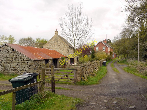 Photo 6"x4" Burn Cottage & Burn House, Beltingham Ridley\/NY7963 c2010