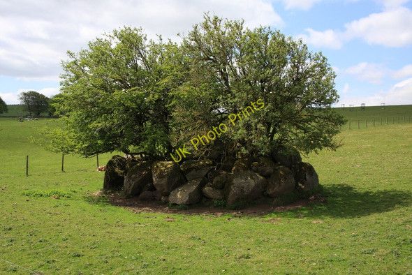 Photo 6"x4" Sline Down Bonehill\/SX7277 c2010