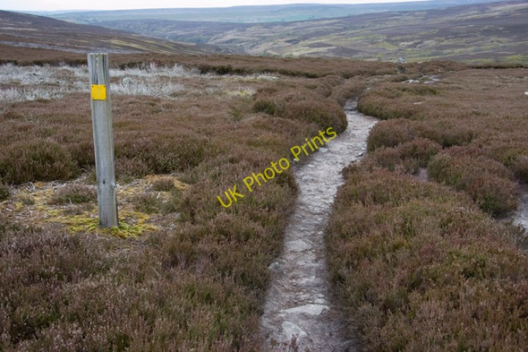 Photo 6"x4" Moorland track and waymark across Kildale Moor Kildale c2010