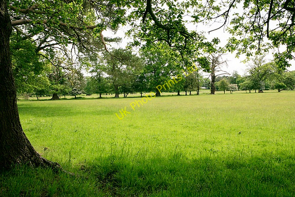 Photo 6"x4" Fields at Hincheslea House South Weirs c2006