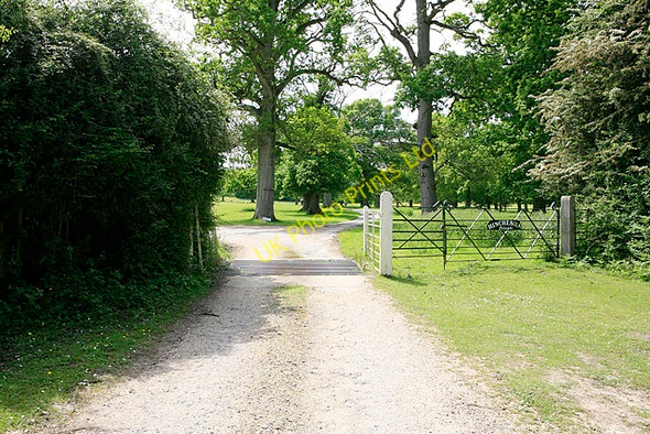 Photo 6"x4" Entrance to Hincheslea on Burley Road South Weirs c2006