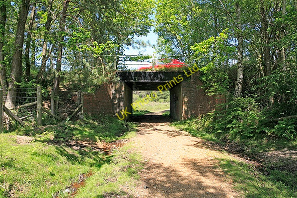 Photo 6"x4" Old railway bridge south of Wilverley Inclosure Wootton\/SZ2498 c2006