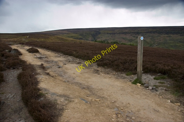 Photo 6"x4" Bridleway on Glaisdale Moor Street\/NZ7304 c2010
