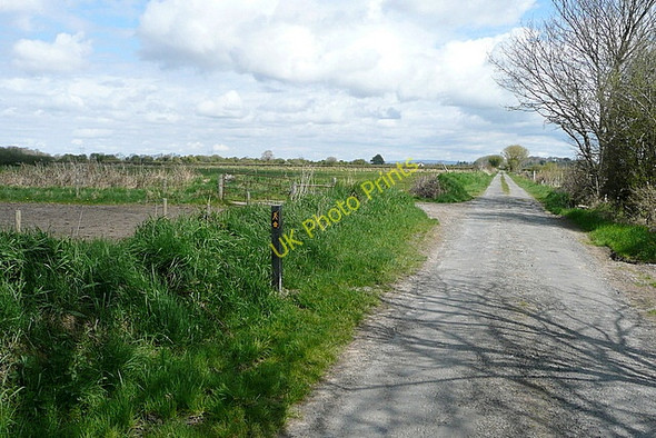 Photo 6"x4" Lane at Islandavanna Upper Clarecastle c2010
