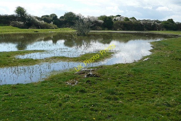 Photo 6"x4" Flooded pasture at Drumquin Derragh c2010