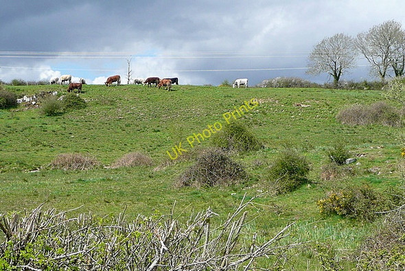 Photo 6"x4" Rough grazing at Ballycorick Ballynacally c2010 P1