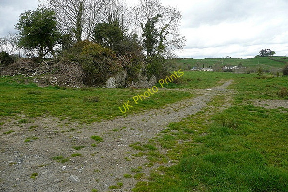 Photo 6"x4" Grazing land at Poulaphuca Ballynacally c2010
