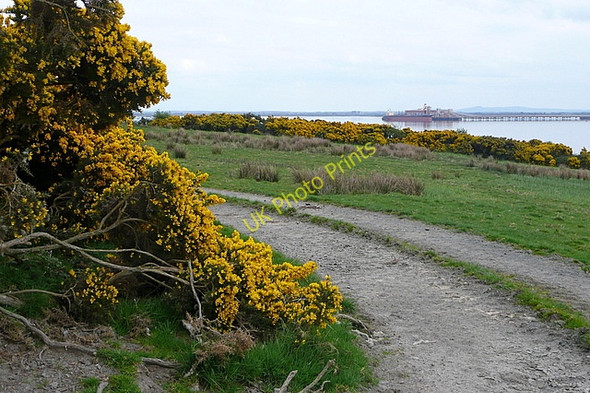 Photo 6"x4" Track on Inishcorker Killadysert c2010