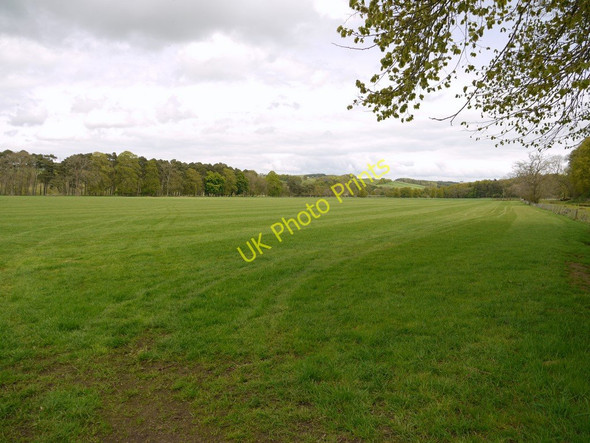 Photo 6"x4" Pasture north-west of Beltingham Beltingham c2010