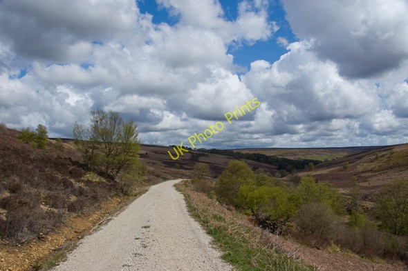 Photo 6"x4" Track to the Wheeldale Road Collier Gill c2010