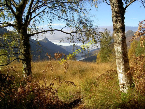 Photo 6"x4" View to the Pap of Glencoe at summer's end Kinlochmore c2006