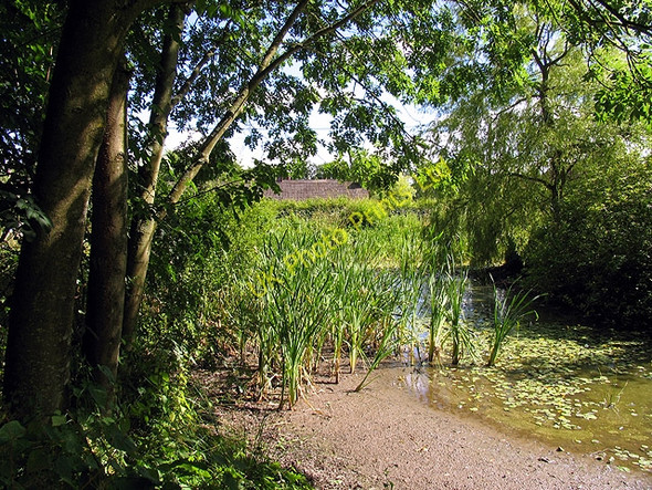 Photo 6"x4" Ecchinswell Village Pond Brock's Green c2005