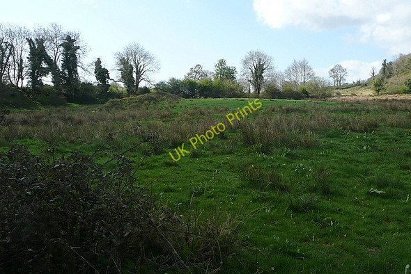 Photo 6"x4" Rough grazing at Cragbrien Derragh c2010
