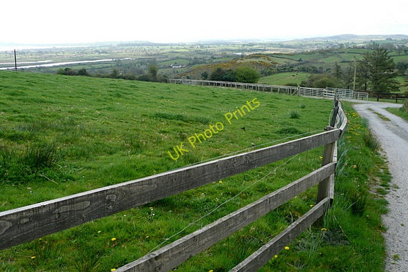 Photo 6"x4" Pasture at Lisheen Ballynacally c2010
