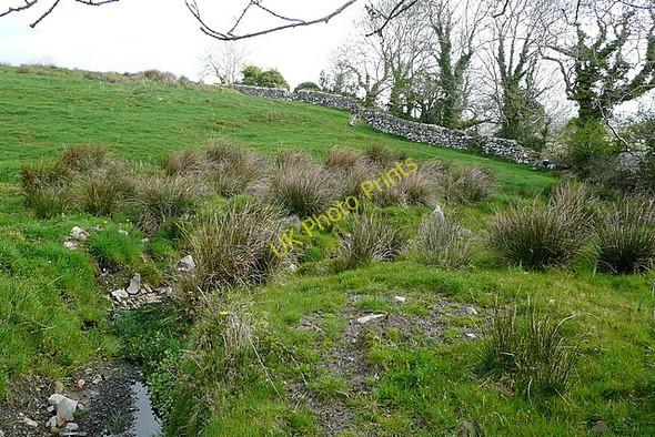 Photo 6"x4" Pasture at Lisheen Derragh c2010