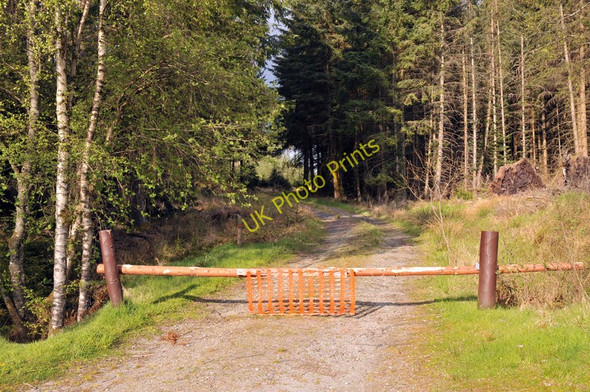 Photo 6"x4" Forestry road in Achray Forest Brig o' Turk c2010 P1