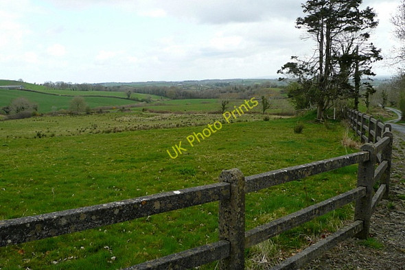Photo 6"x4" Pasture at Knockanira Derragh c2010