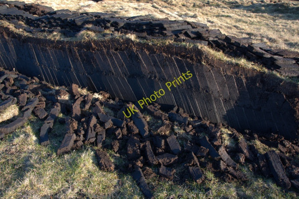 Photo 6"x4" Peat bank, Sothers Field Kirkaton c2010