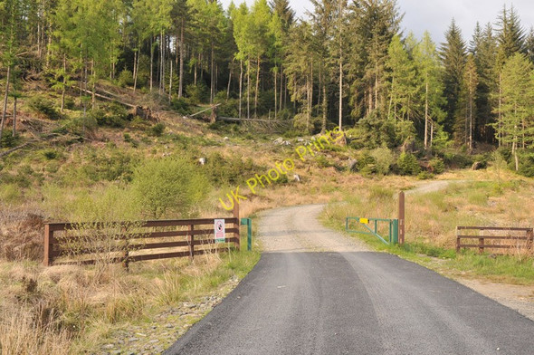 Photo 6"x4" Forestry road in Queen Elizabeth Forest Park Milton\/NN5001 c2010