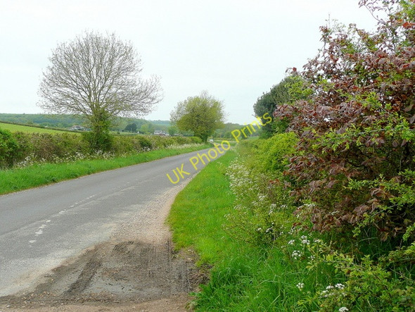 Photo 6"x4" Road to Martin Drove End Martin Drove End c2010