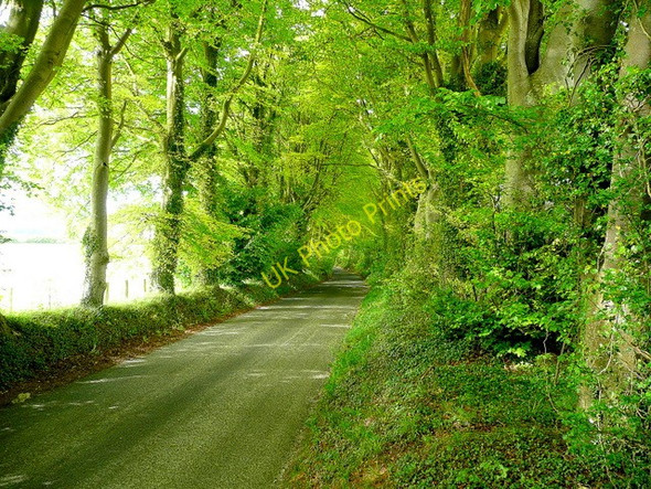 Photo 6"x4" Howgare Road Mount Sorrel c2010