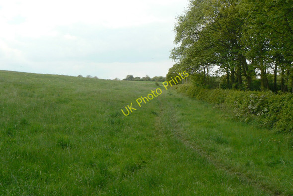 Photo 6"x4" Site of tramroad New Whittington c2010