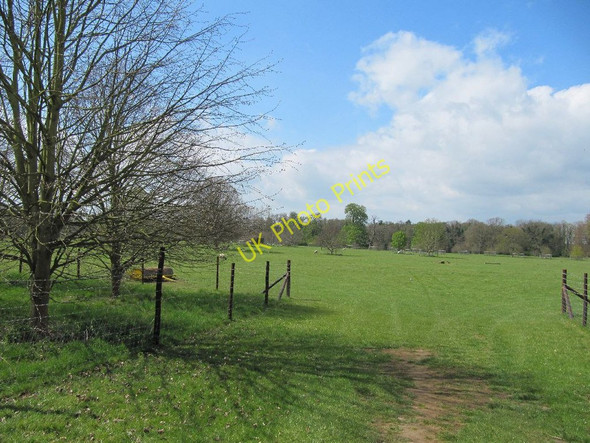 Photo 6"x4" Looking over the gate Marcham c2010