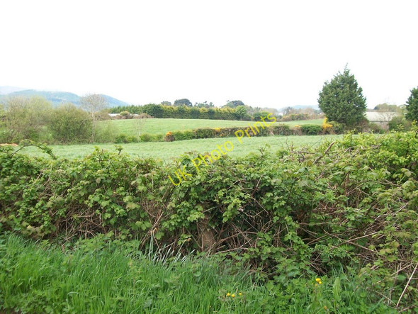 Photo 6"x4" Farmland west of Carrigs Road, Maghera Newcastle\/J3732 c2010