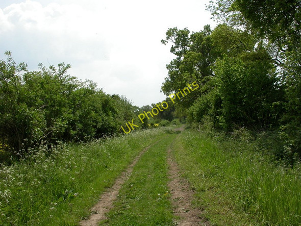 Photo 6"x4" Whitsbury, Long Steeple Lane Whitsbury c2010