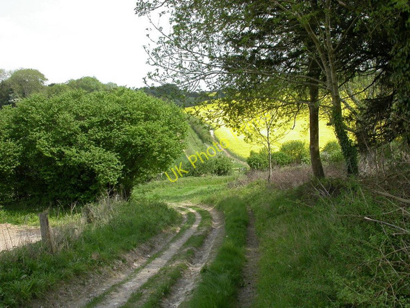 Photo 6"x4" Whitsbury, bridleway junction Whitsbury c2010