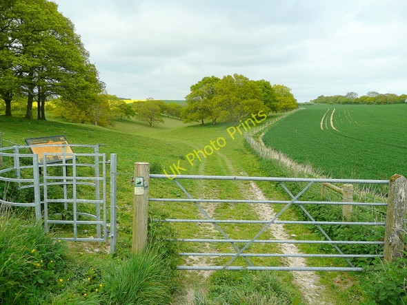 Photo 6"x4" Middleton Down Nature Reserve Martin Drove End c2010