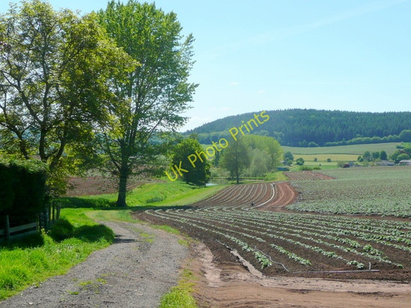 Photo 6"x4" Track to irrigation ponds Bromsash c2010