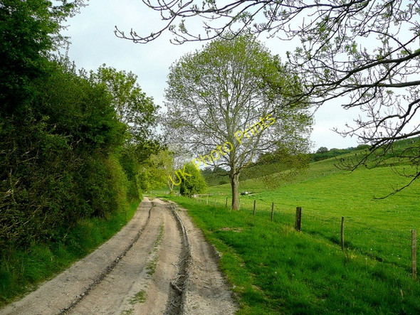 Photo 6"x4" Bridleway along Church Bottom Mount Sorrel c2010