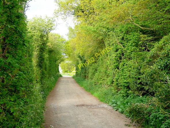 Photo 6"x4" Ox Drove Martin Drove End c2010