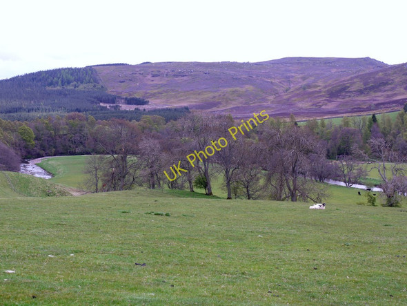 Photo 6"x4" Pasture east of Park House Low Alwinton c2010