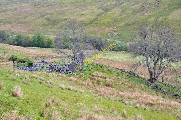 Photo 6"x4" Ruined house at Achavady Bohuntine c2010