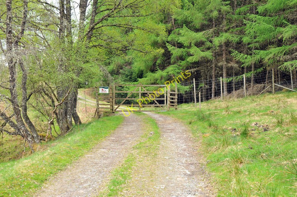 Photo 6"x4" Gate on the forest road near Inverlair Inverlair c2010