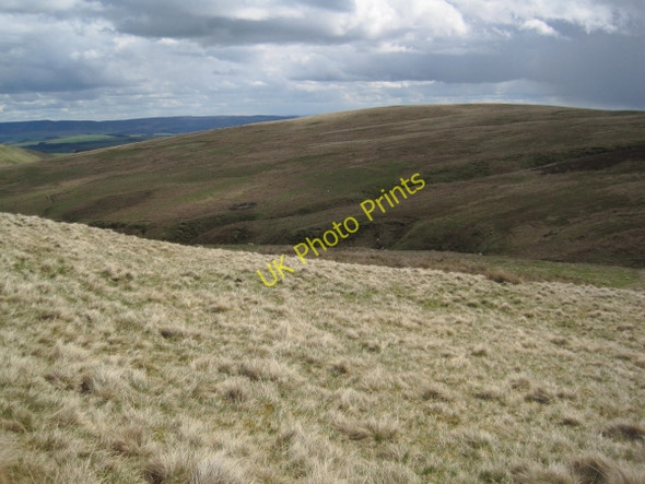 Photo 6"x4" Biddlestone Burn Valley Clennell c2010