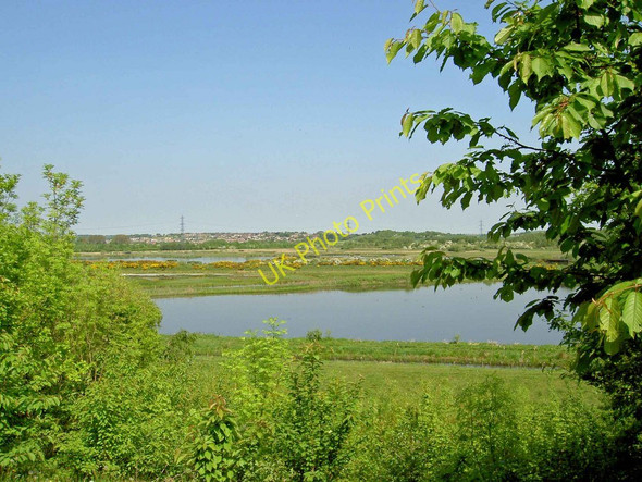 Photo 6"x4" Old Moor RSPB site Bolton Upon Dearne c2010