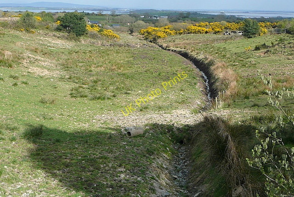 Photo 6"x4" Rough grazing at Lavally Ballynacally c2010