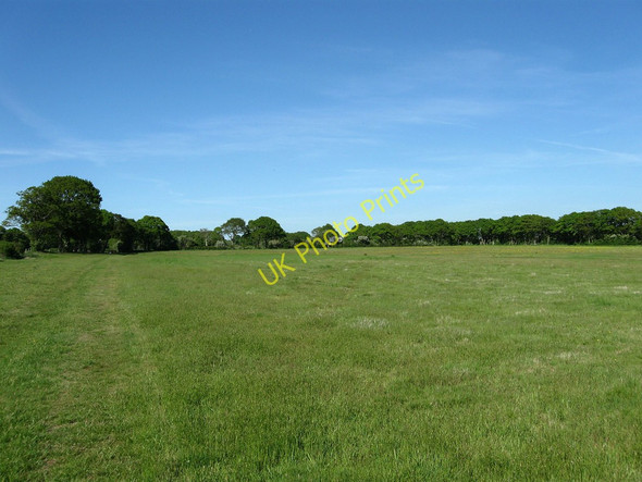 Photo 6"x4" The Rushett Ripe c2010