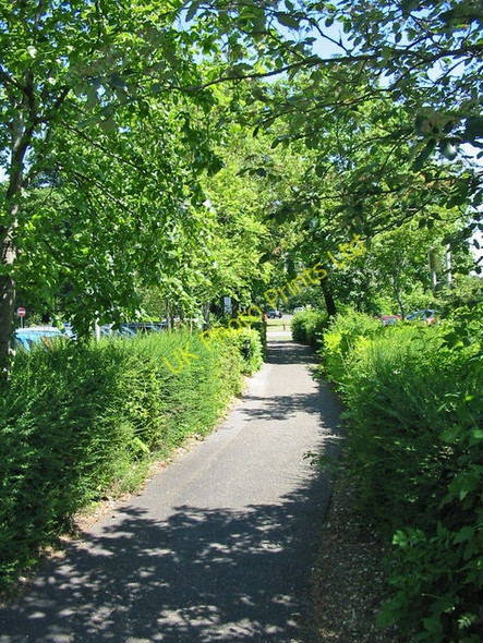 Photo 6"x4" Footpath through main car park Ringwood Hants Ringwood\/SU1505 c2006