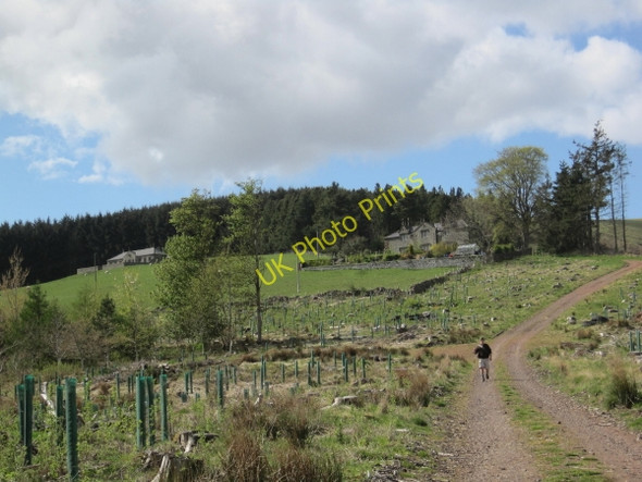 Photo 6"x4" Kennel Cottages, Biddlestone Clennell c2010