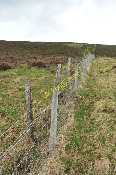 Photo 6"x4" Fence on the Hill of Bank Cabrach\/NJ3827 c2010