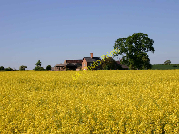Photo 6"x4" Berryfield Farm Admington c2010