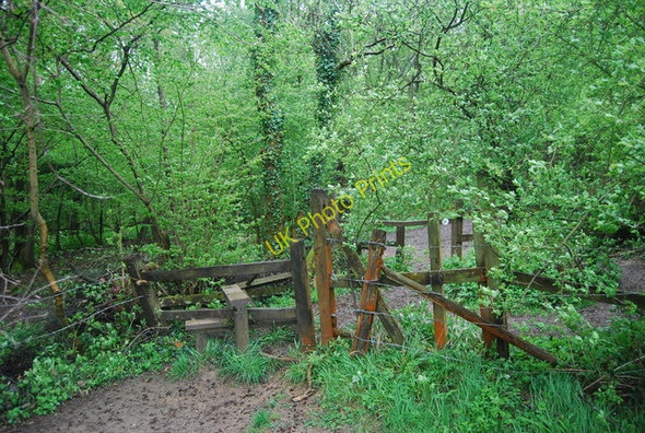 Photo 6"x4" Sussex Border Path enters South Wood Cox Green\/TQ0934 c2010