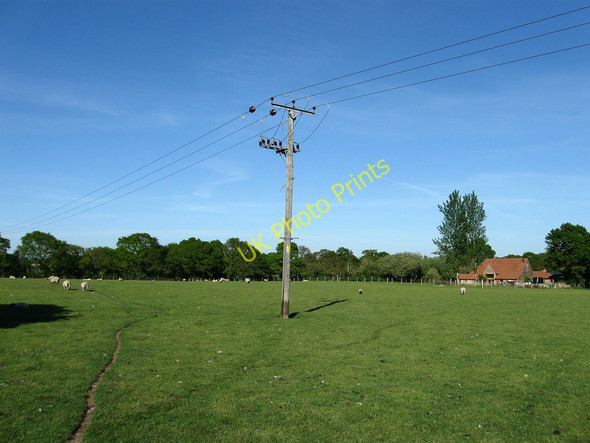 Photo 6"x4" Lower Barn Meadow Chalvington c2010