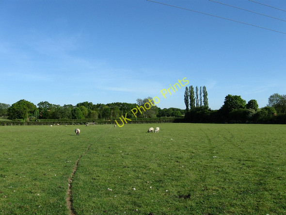 Photo 6"x4" House Field Chalvington c2010