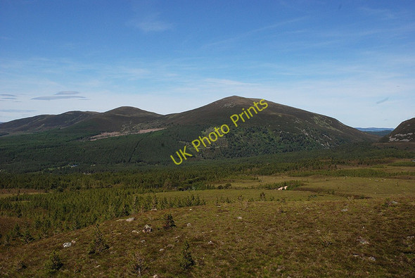 Photo 6"x4" View towards Meall a' Bhuachaille Allt na Ciste c2009
