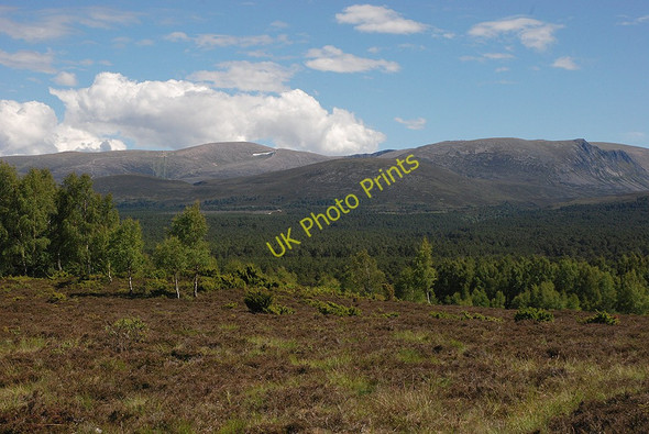 Photo 6"x4" Rothiemurchus, from Whitewell Coylumbridge c2009